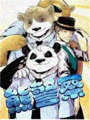 资料整理进度示意图